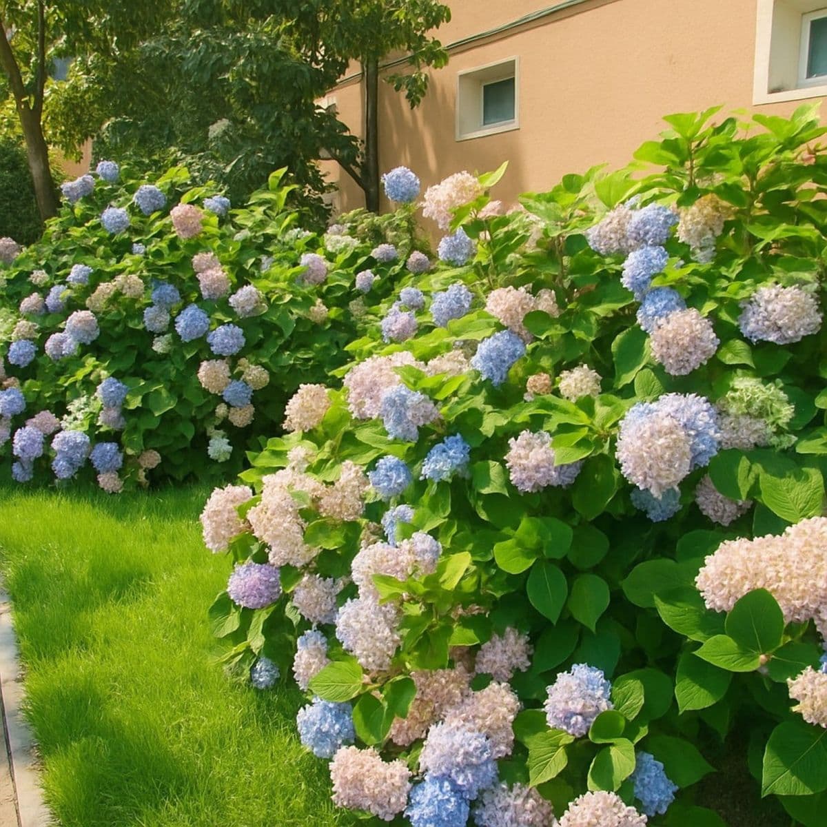 3 bedroom flat to rent, 63 m², Hybešova, Havířov, Moravskoslezský Region 3 bedroom flat to rent, 63 m², Hybešova, Havířov, Moravskoslezský Region