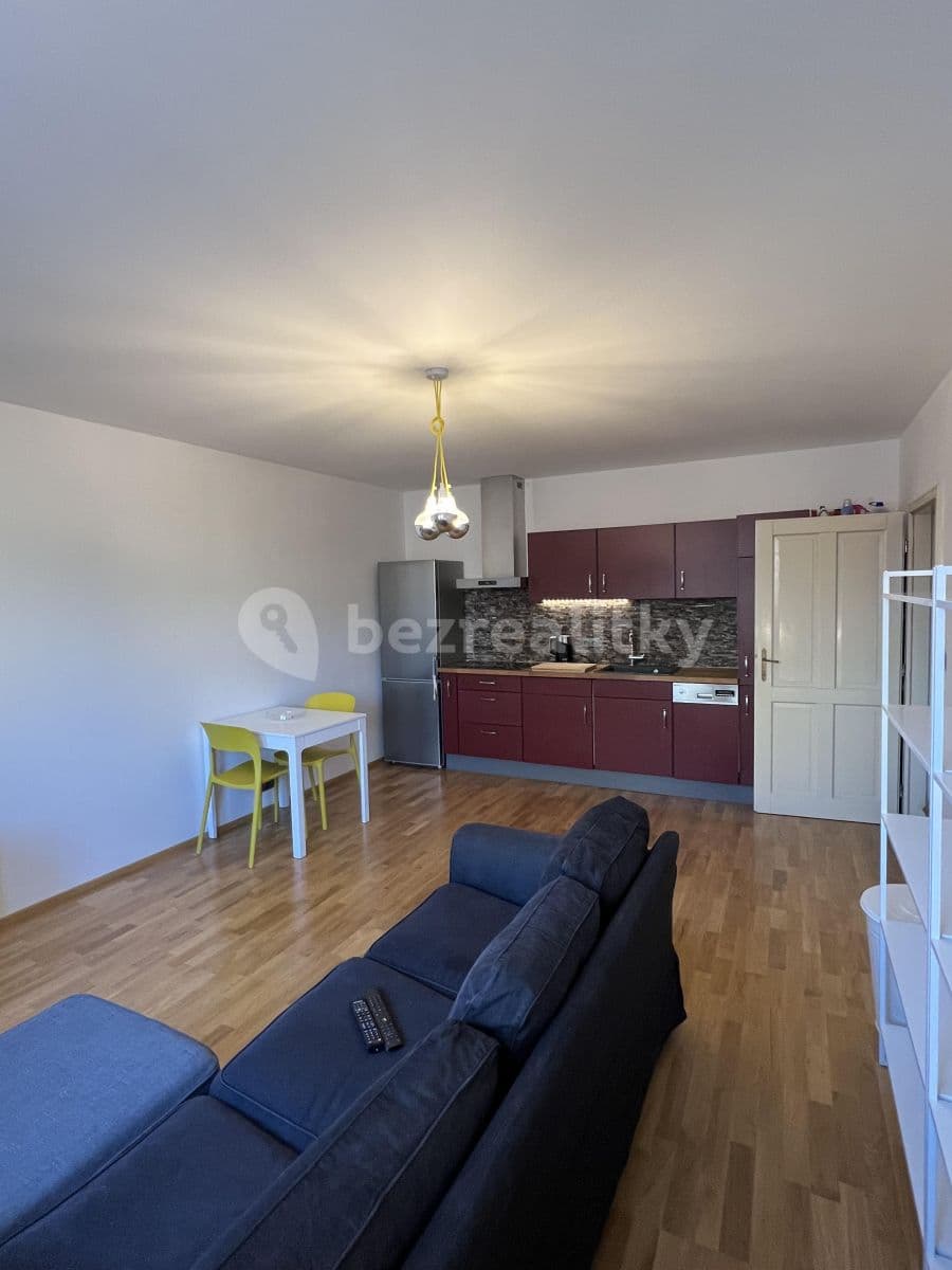 1 bedroom with open-plan kitchen flat to rent, 43 m², Na Maninách, Prague, Prague 1 bedroom with open-plan kitchen flat to rent, 43 m², Na Maninách, Prague, Prague