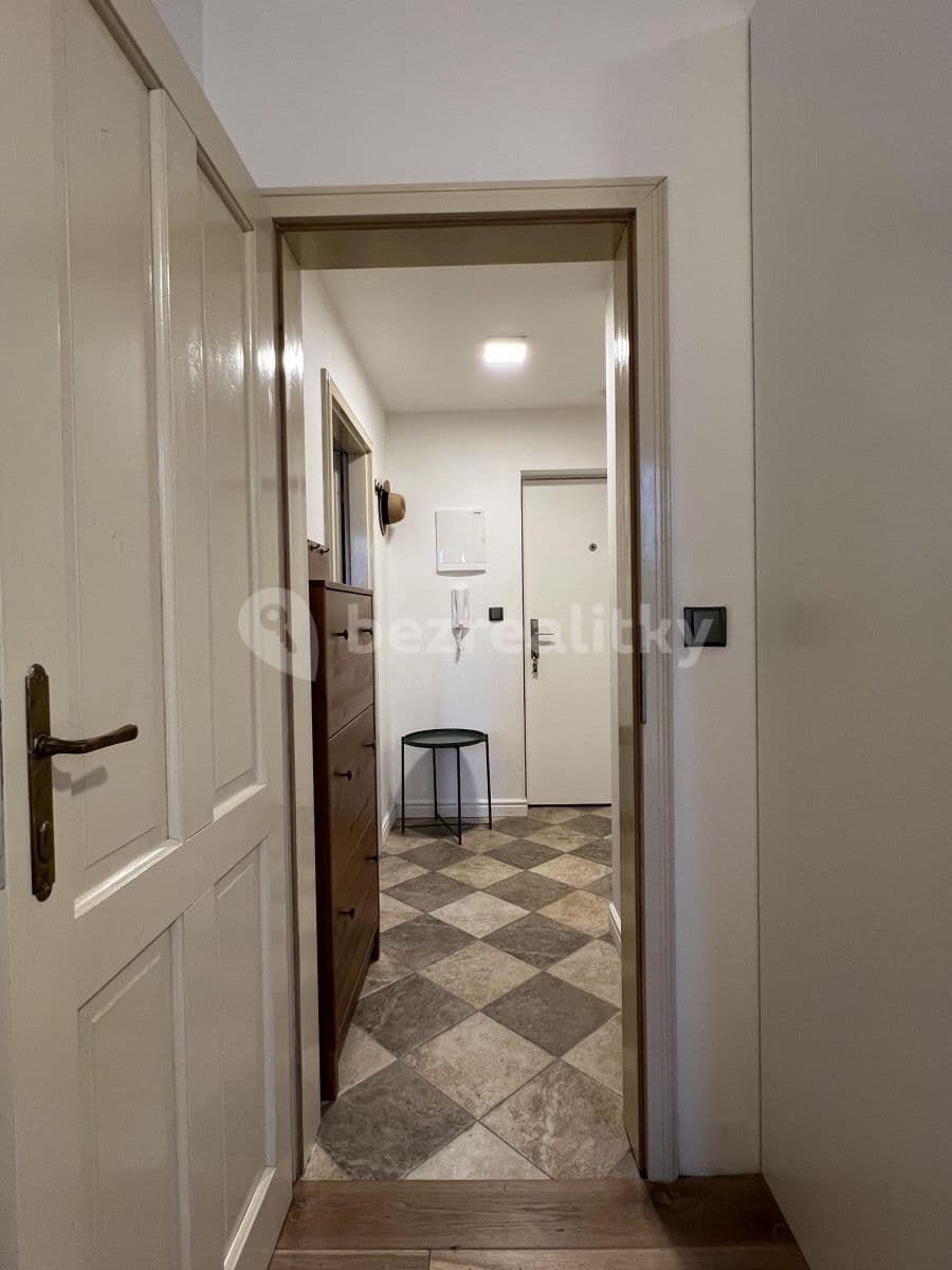 1 bedroom with open-plan kitchen flat to rent, 43 m², Na Maninách, Prague, Prague 1 bedroom with open-plan kitchen flat to rent, 43 m², Na Maninách, Prague, Prague