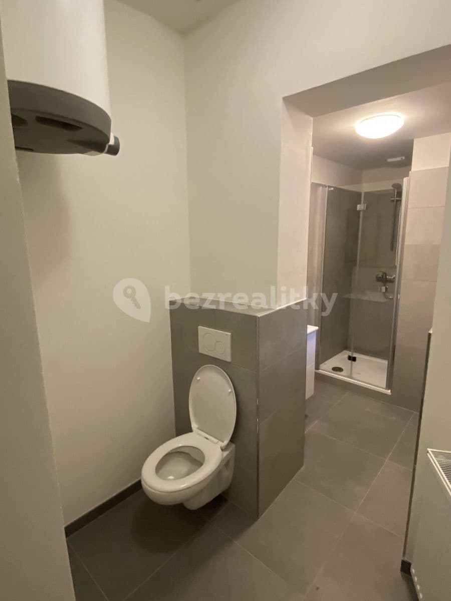 1 bedroom flat to rent, 46 m², Viktora Huga, Prague, Prague 1 bedroom flat to rent, 46 m², Viktora Huga, Prague, Prague