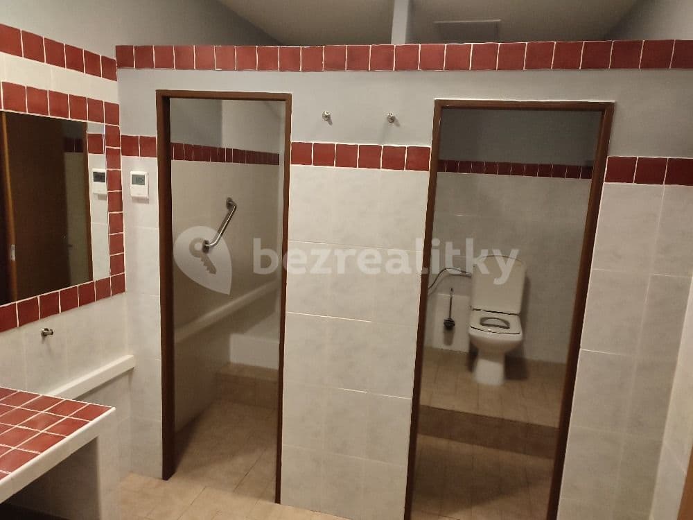 1 bedroom with open-plan kitchen flat to rent, 71 m², Chotilsko, Středočeský Region 1 bedroom with open-plan kitchen flat to rent, 71 m², Chotilsko, Středočeský Region