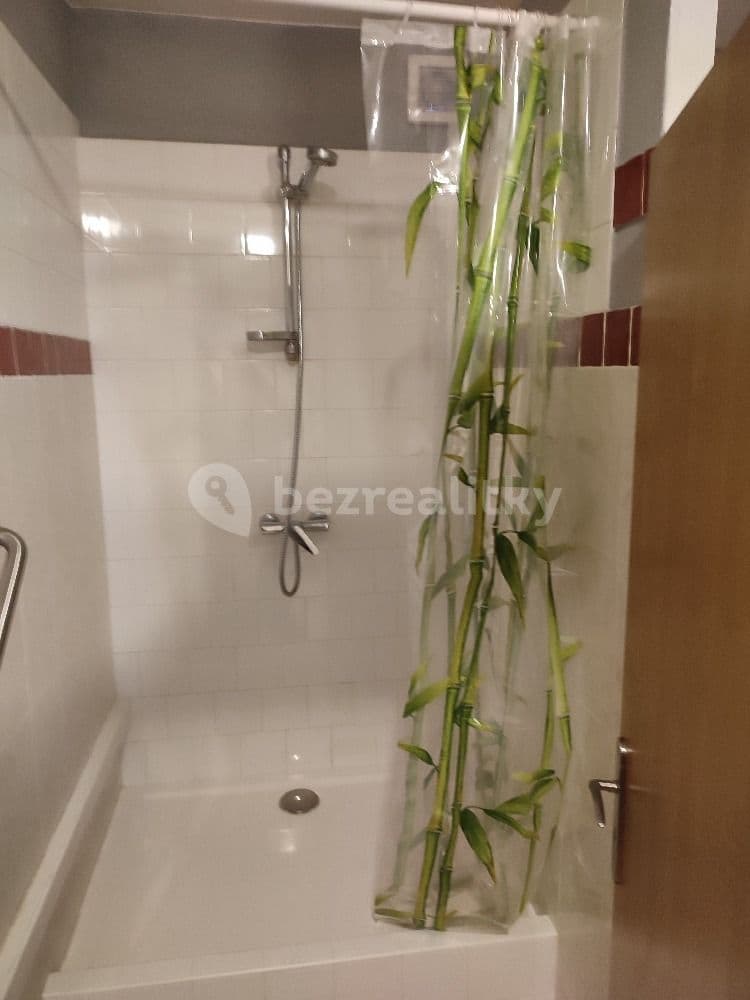 1 bedroom with open-plan kitchen flat to rent, 71 m², Chotilsko, Středočeský Region 1 bedroom with open-plan kitchen flat to rent, 71 m², Chotilsko, Středočeský Region