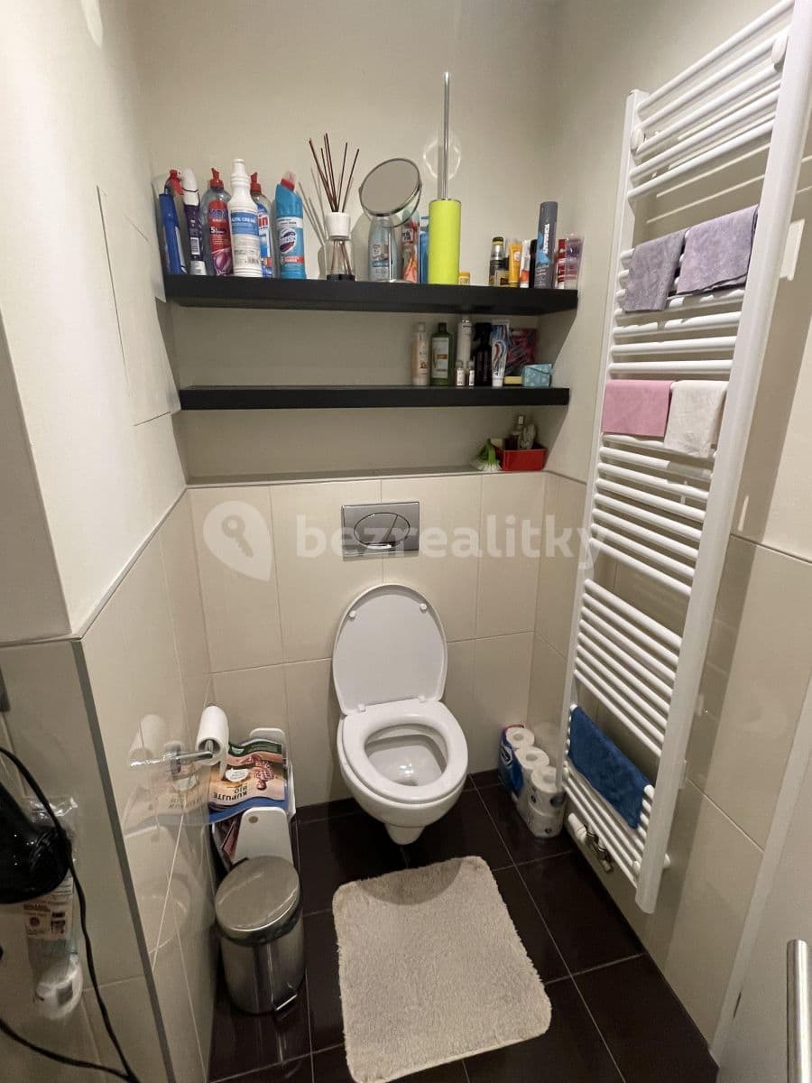 1 bedroom with open-plan kitchen flat to rent, 51 m², Geologická, Prague, Prague 1 bedroom with open-plan kitchen flat to rent, 51 m², Geologická, Prague, Prague