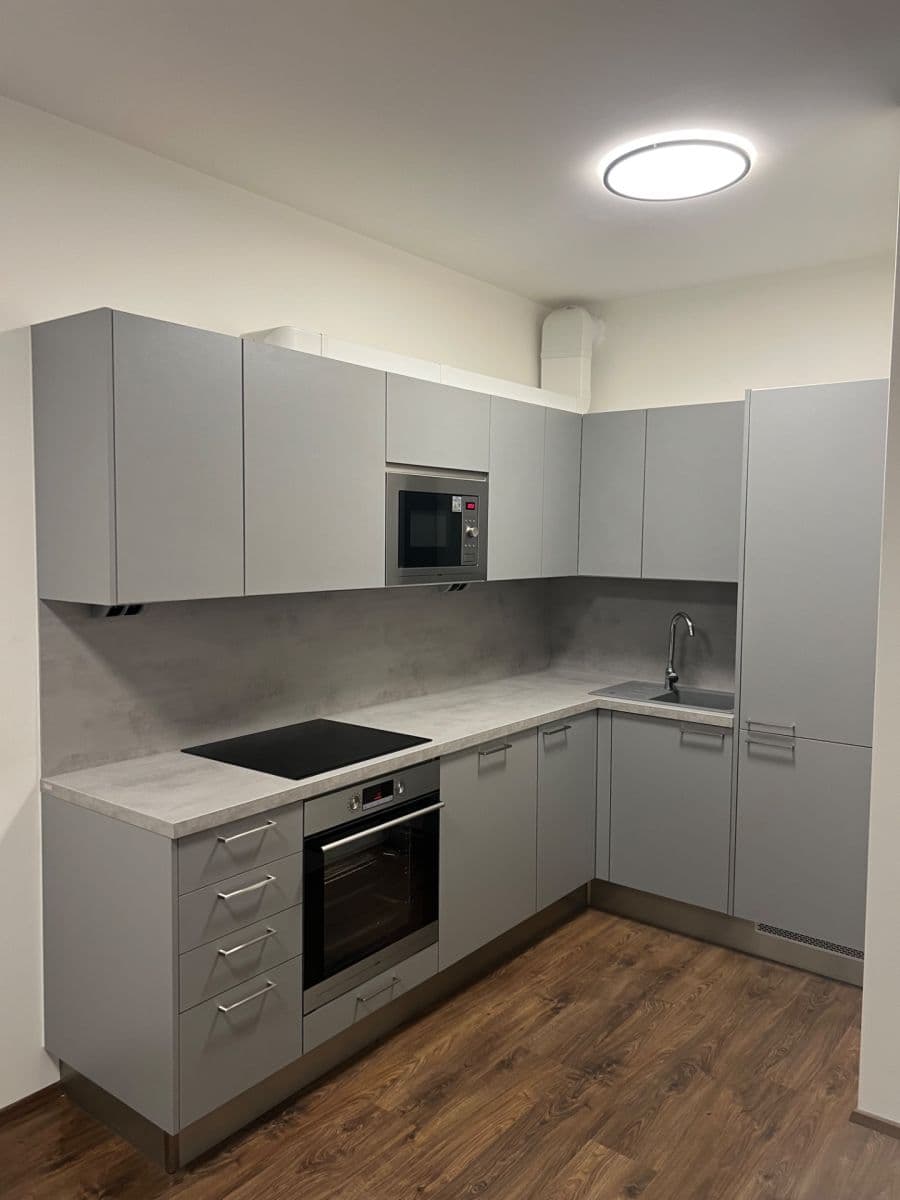 1 bedroom with open-plan kitchen flat to rent, 61 m², Ivana Hlinky, Prague, Prague 1 bedroom with open-plan kitchen flat to rent, 61 m², Ivana Hlinky, Prague, Prague