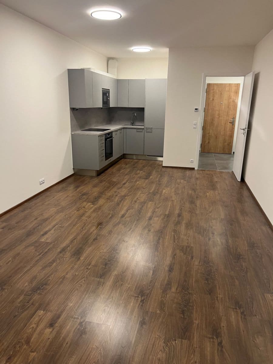 1 bedroom with open-plan kitchen flat to rent, 61 m², Ivana Hlinky, Prague, Prague 1 bedroom with open-plan kitchen flat to rent, 61 m², Ivana Hlinky, Prague, Prague