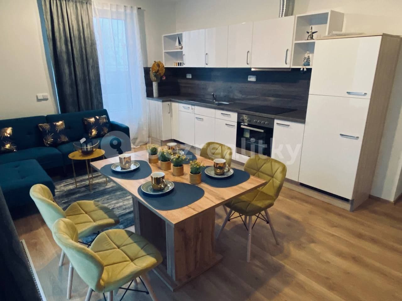 1 bedroom with open-plan kitchen flat to rent, 49 m², Prague, Prague 1 bedroom with open-plan kitchen flat to rent, 49 m², Prague, Prague