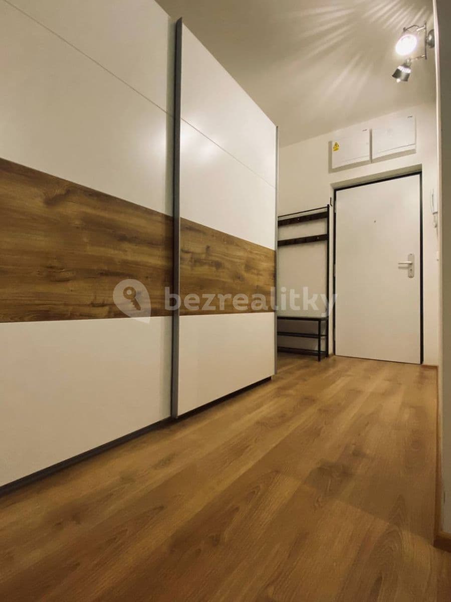1 bedroom with open-plan kitchen flat to rent, 49 m², Prague, Prague 1 bedroom with open-plan kitchen flat to rent, 49 m², Prague, Prague