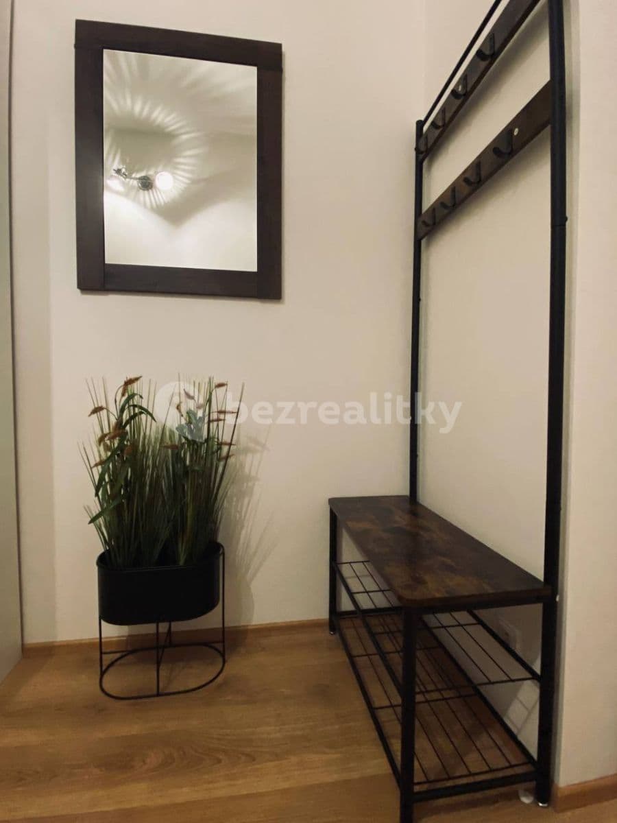 1 bedroom with open-plan kitchen flat to rent, 49 m², Prague, Prague 1 bedroom with open-plan kitchen flat to rent, 49 m², Prague, Prague