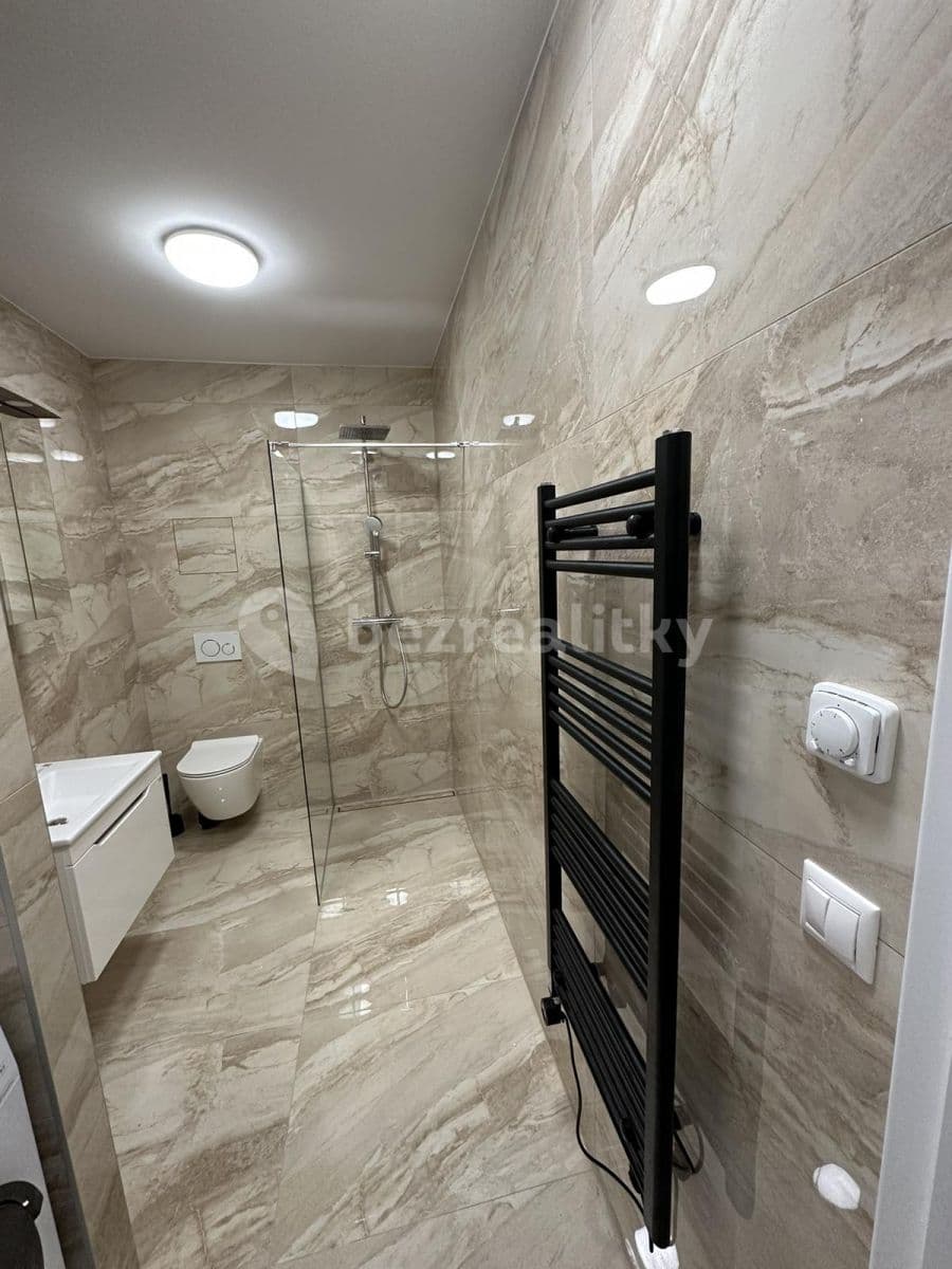 1 bedroom with open-plan kitchen flat to rent, 73 m², Havránkova, Brno, Jihomoravský Region 1 bedroom with open-plan kitchen flat to rent, 73 m², Havránkova, Brno, Jihomoravský Region