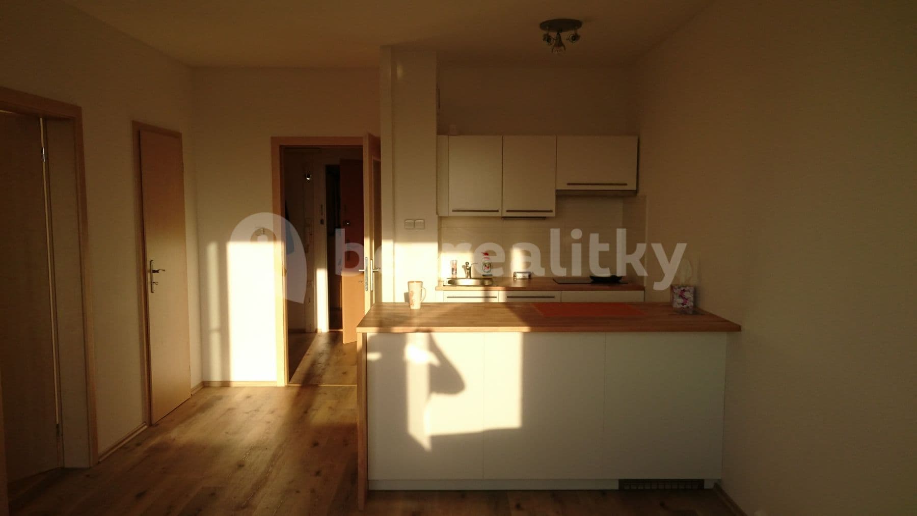 1 bedroom with open-plan kitchen flat to rent, 50 m², Pirinská, Prague, Prague 1 bedroom with open-plan kitchen flat to rent, 50 m², Pirinská, Prague, Prague