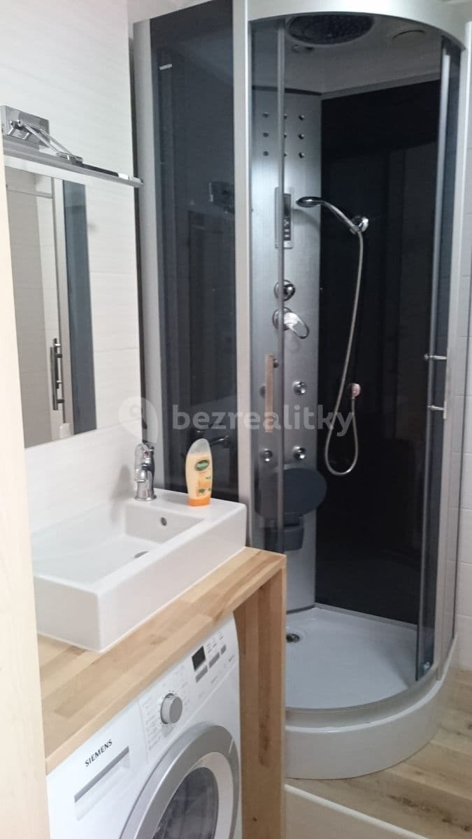 1 bedroom with open-plan kitchen flat to rent, 50 m², Pirinská, Prague, Prague 1 bedroom with open-plan kitchen flat to rent, 50 m², Pirinská, Prague, Prague