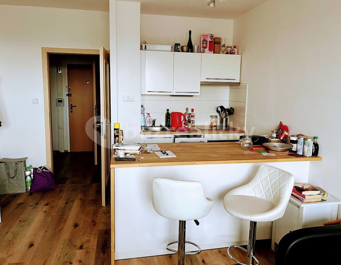 1 bedroom with open-plan kitchen flat to rent, 50 m², Pirinská, Prague, Prague 1 bedroom with open-plan kitchen flat to rent, 50 m², Pirinská, Prague, Prague
