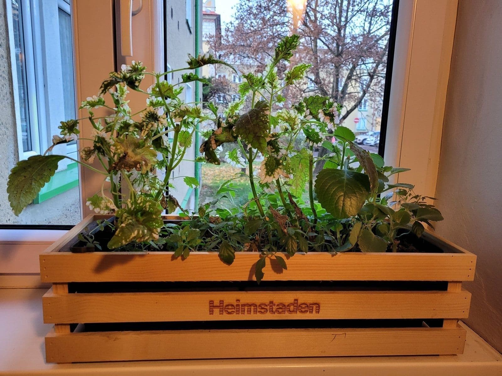 2 bedroom flat to rent, 55 m², Marie Majerové, Havířov, Moravskoslezský Region 2 bedroom flat to rent, 55 m², Marie Majerové, Havířov, Moravskoslezský Region