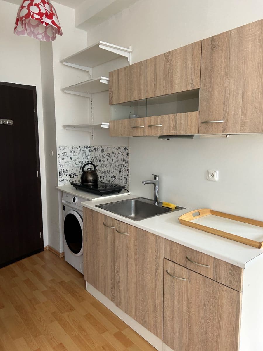 1 bedroom with open-plan kitchen flat to rent, 36 m², Poznaňská, Sázava, Středočeský Region 1 bedroom with open-plan kitchen flat to rent, 36 m², Poznaňská, Sázava, Středočeský Region