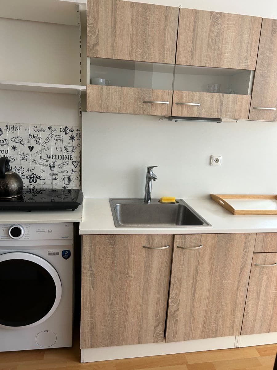 1 bedroom with open-plan kitchen flat to rent, 36 m², Poznaňská, Sázava, Středočeský Region 1 bedroom with open-plan kitchen flat to rent, 36 m², Poznaňská, Sázava, Středočeský Region