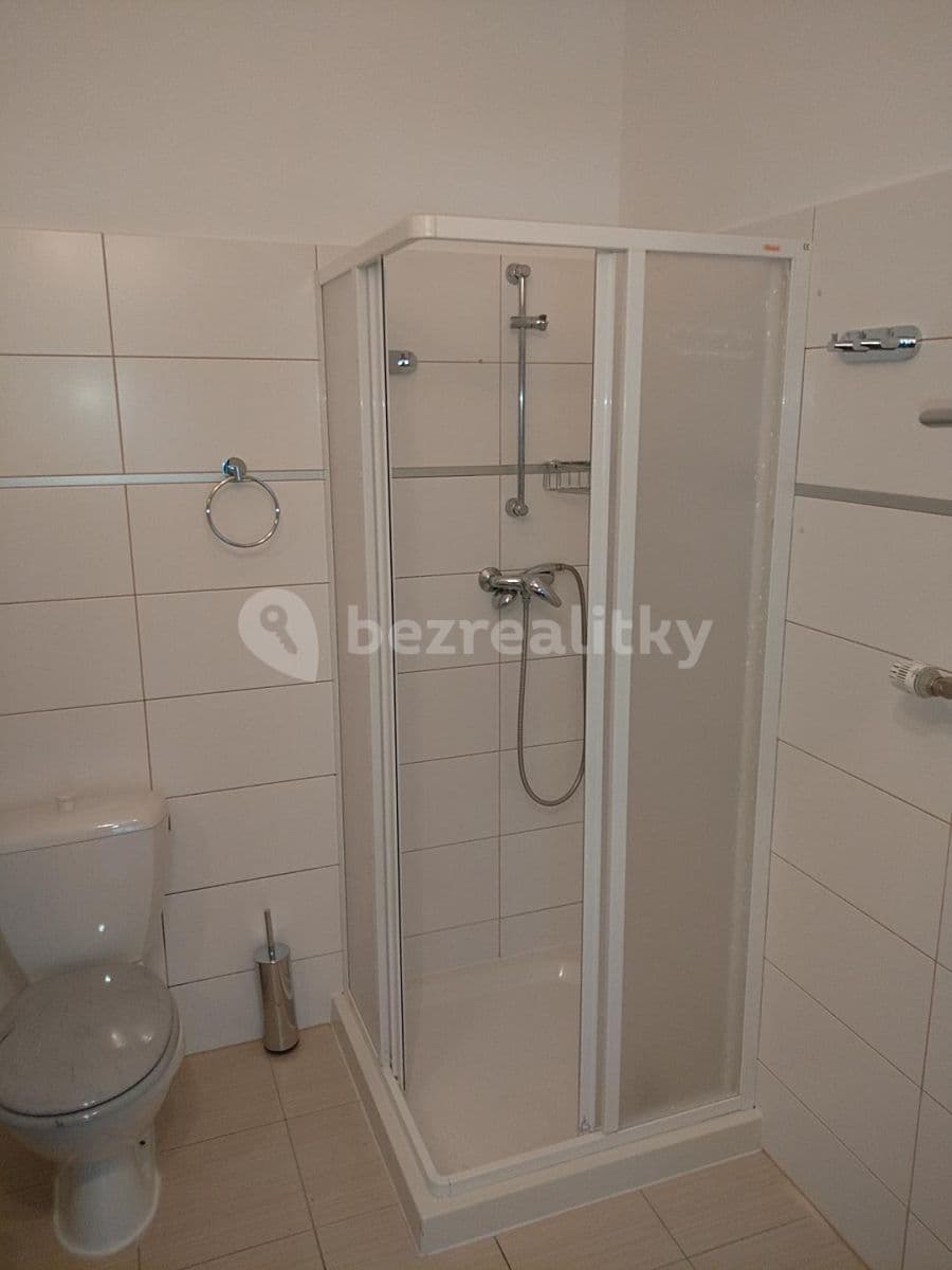 1 bedroom with open-plan kitchen flat to rent, 53 m², Žitavského, Prague, Prague 1 bedroom with open-plan kitchen flat to rent, 53 m², Žitavského, Prague, Prague