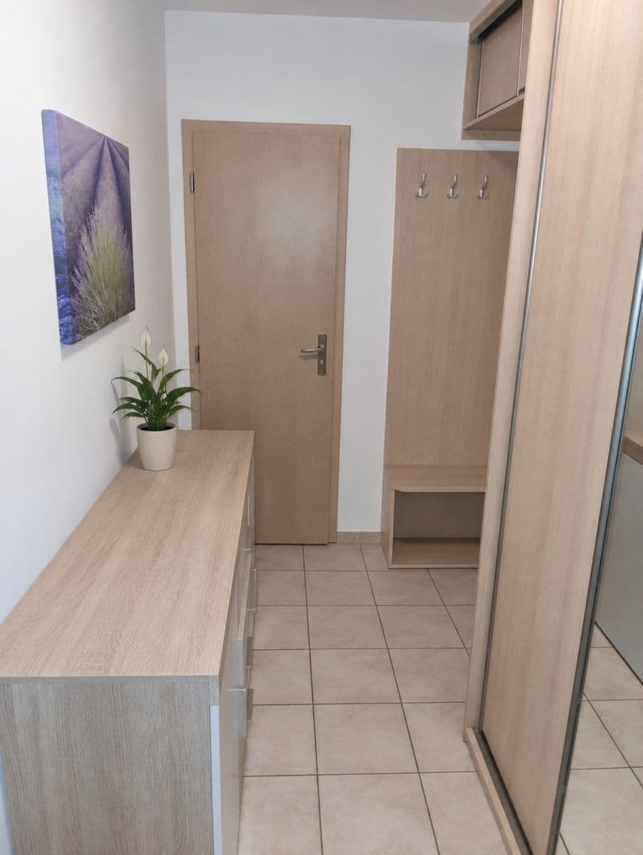 1 bedroom with open-plan kitchen flat to rent, 47 m², Vestec, Středočeský Region 1 bedroom with open-plan kitchen flat to rent, 47 m², Vestec, Středočeský Region
