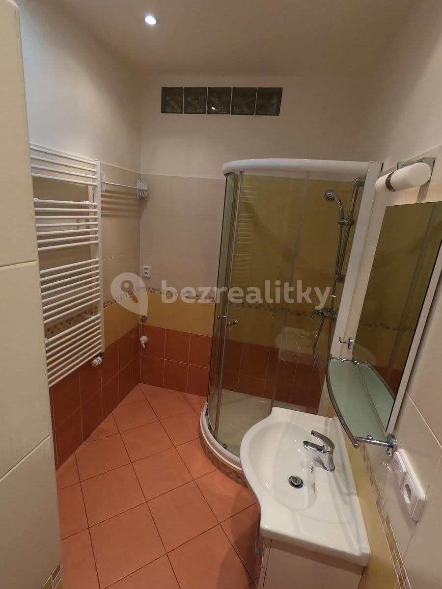 1 bedroom with open-plan kitchen flat to rent, 36 m², Boleslavova, Prague, Prague 1 bedroom with open-plan kitchen flat to rent, 36 m², Boleslavova, Prague, Prague