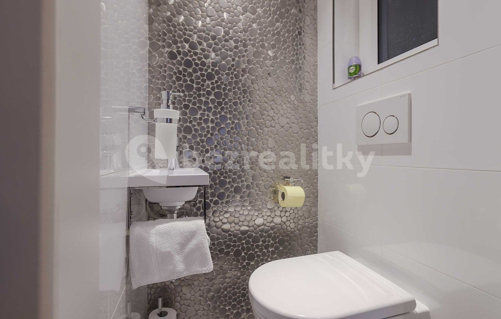 1 bedroom with open-plan kitchen flat to rent, 70 m², U Parního mlýna, Prague, Prague 1 bedroom with open-plan kitchen flat to rent, 70 m², U Parního mlýna, Prague, Prague