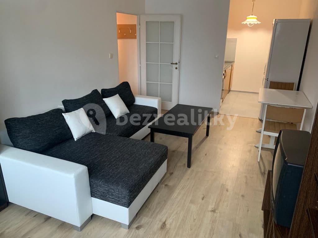 1 bedroom with open-plan kitchen flat to rent, 43 m², Modrá, Prague, Prague 1 bedroom with open-plan kitchen flat to rent, 43 m², Modrá, Prague, Prague
