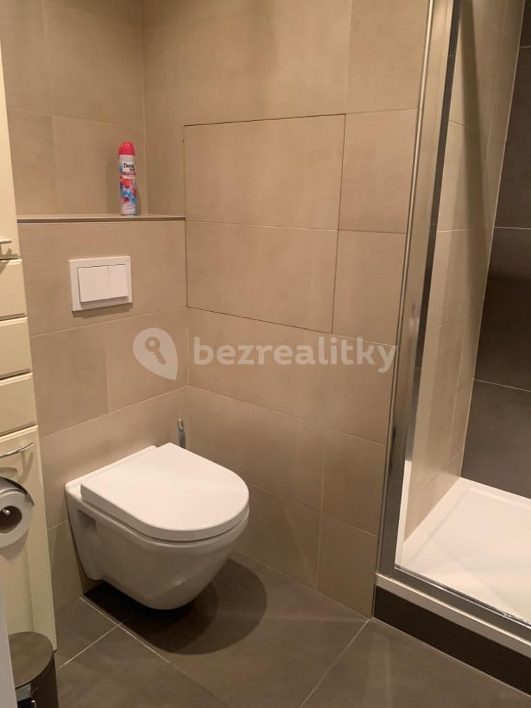 1 bedroom with open-plan kitchen flat to rent, 43 m², Modrá, Prague, Prague 1 bedroom with open-plan kitchen flat to rent, 43 m², Modrá, Prague, Prague