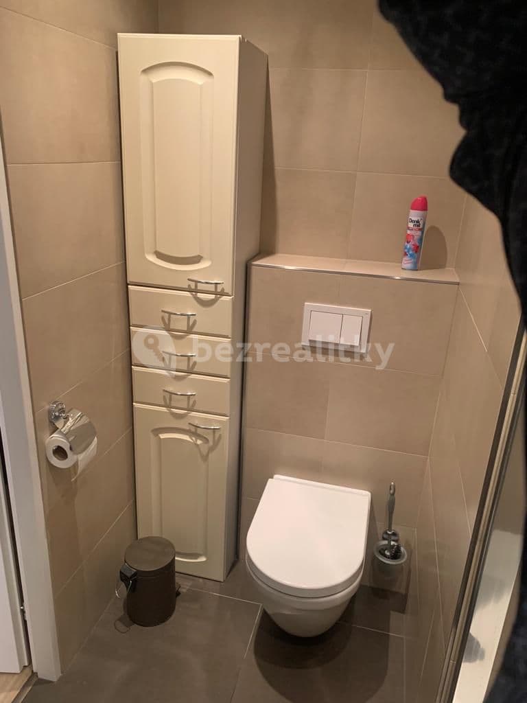 1 bedroom with open-plan kitchen flat to rent, 43 m², Modrá, Prague, Prague 1 bedroom with open-plan kitchen flat to rent, 43 m², Modrá, Prague, Prague