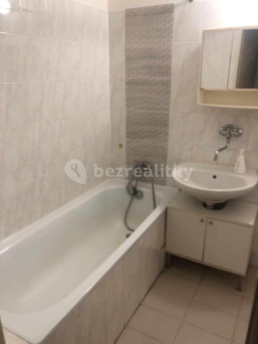 1 bedroom with open-plan kitchen flat to rent, 50 m², Vodnická, Prague, Prague 1 bedroom with open-plan kitchen flat to rent, 50 m², Vodnická, Prague, Prague