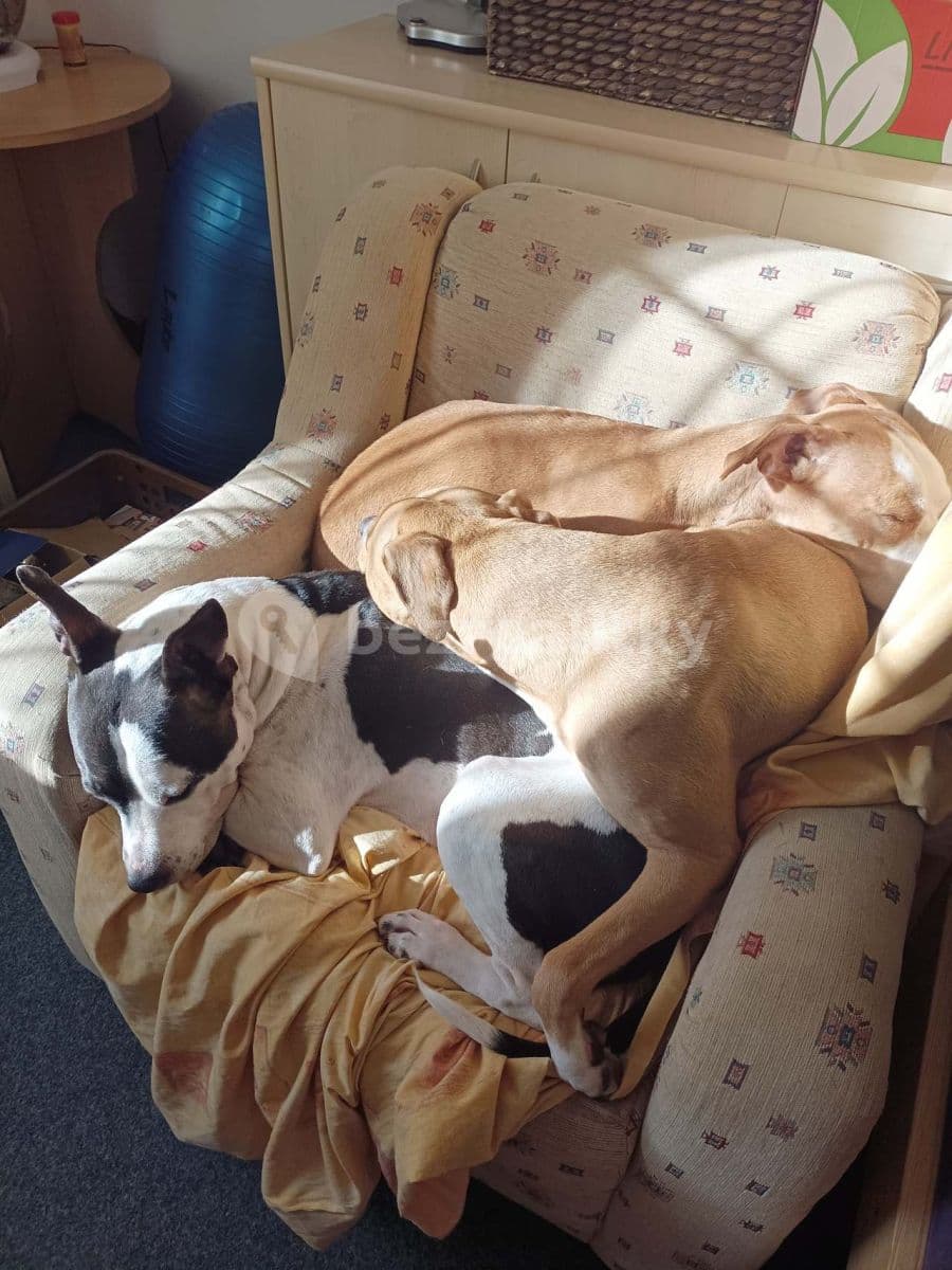 recreational property to rent, 0 m², Nové Hutě, Jihočeský Region recreational property to rent, 0 m², Nové Hutě, Jihočeský Region