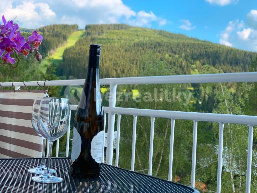 2 bedroom with open-plan kitchen flat to rent, 68 m², Špindlerův Mlýn, Královéhradecký Region 2 bedroom with open-plan kitchen flat to rent, 68 m², Špindlerův Mlýn, Královéhradecký Region