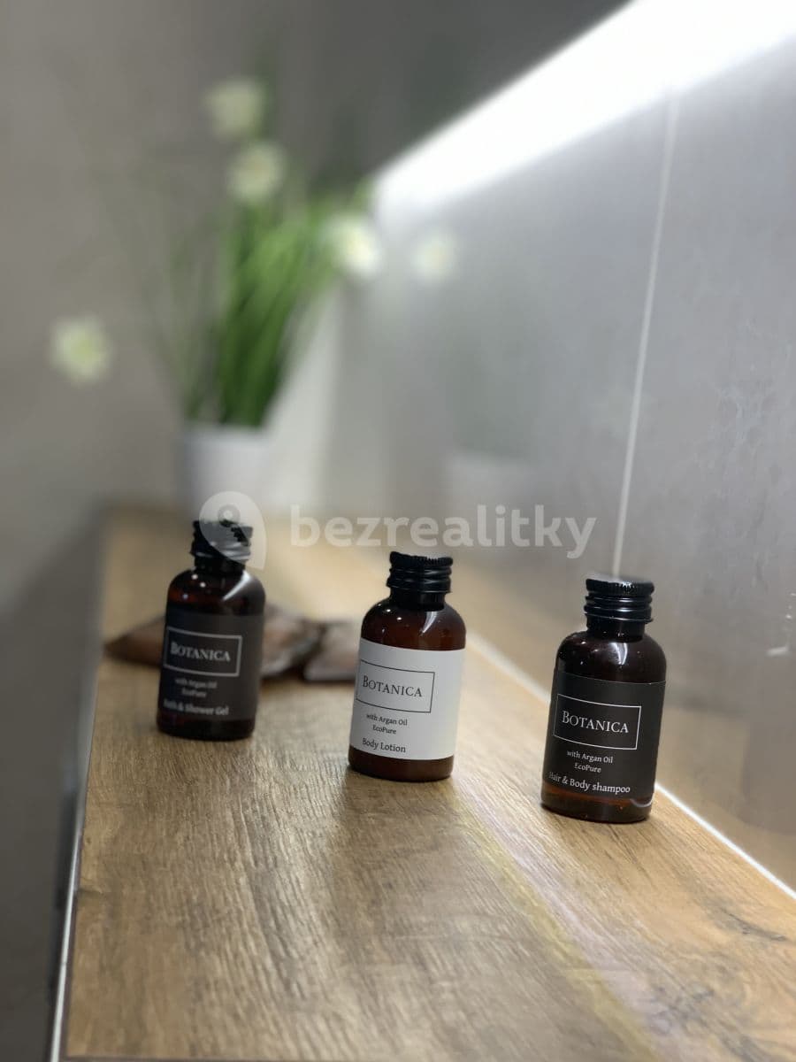 2 bedroom with open-plan kitchen flat to rent, 68 m², Špindlerův Mlýn, Královéhradecký Region 2 bedroom with open-plan kitchen flat to rent, 68 m², Špindlerův Mlýn, Královéhradecký Region