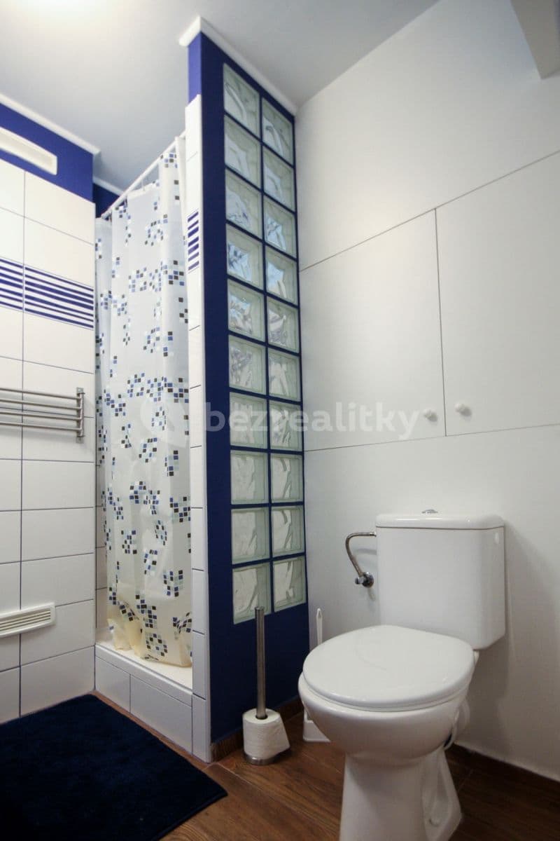 Studio flat to rent, 28 m², Nekvasilova, Prague, Prague Studio flat to rent, 28 m², Nekvasilova, Prague, Prague