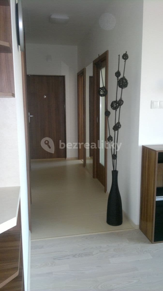 2 bedroom with open-plan kitchen flat to rent, 55 m², Leitnerova, Brno, Jihomoravský Region 2 bedroom with open-plan kitchen flat to rent, 55 m², Leitnerova, Brno, Jihomoravský Region