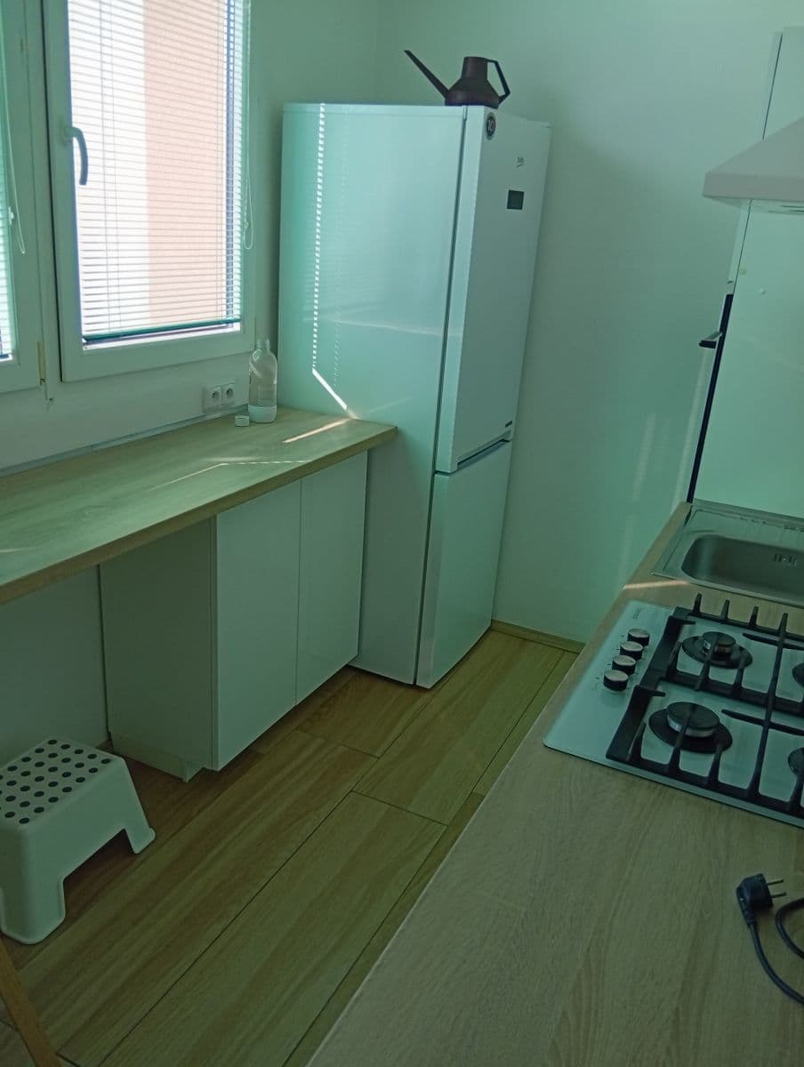 2 bedroom flat to rent, 58 m², Brno, Jihomoravský Region 2 bedroom flat to rent, 58 m², Brno, Jihomoravský Region