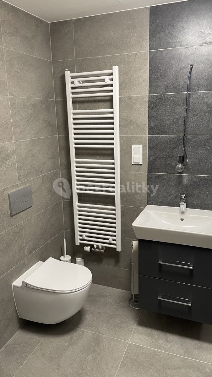 1 bedroom with open-plan kitchen flat to rent, 59 m², Brandýs nad Labem-Stará Boleslav, Středočeský Region 1 bedroom with open-plan kitchen flat to rent, 59 m², Brandýs nad Labem-Stará Boleslav, Středočeský Region