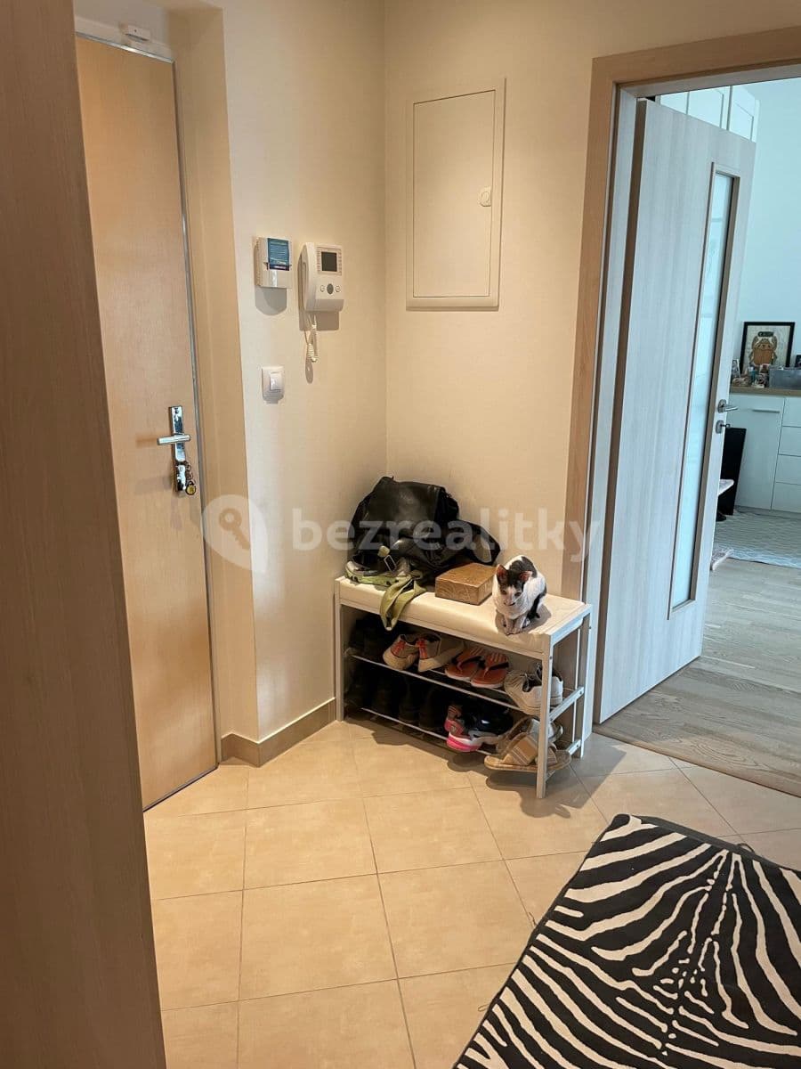 Studio flat to rent, 37 m², Olšanská, Prague, Prague Studio flat to rent, 37 m², Olšanská, Prague, Prague