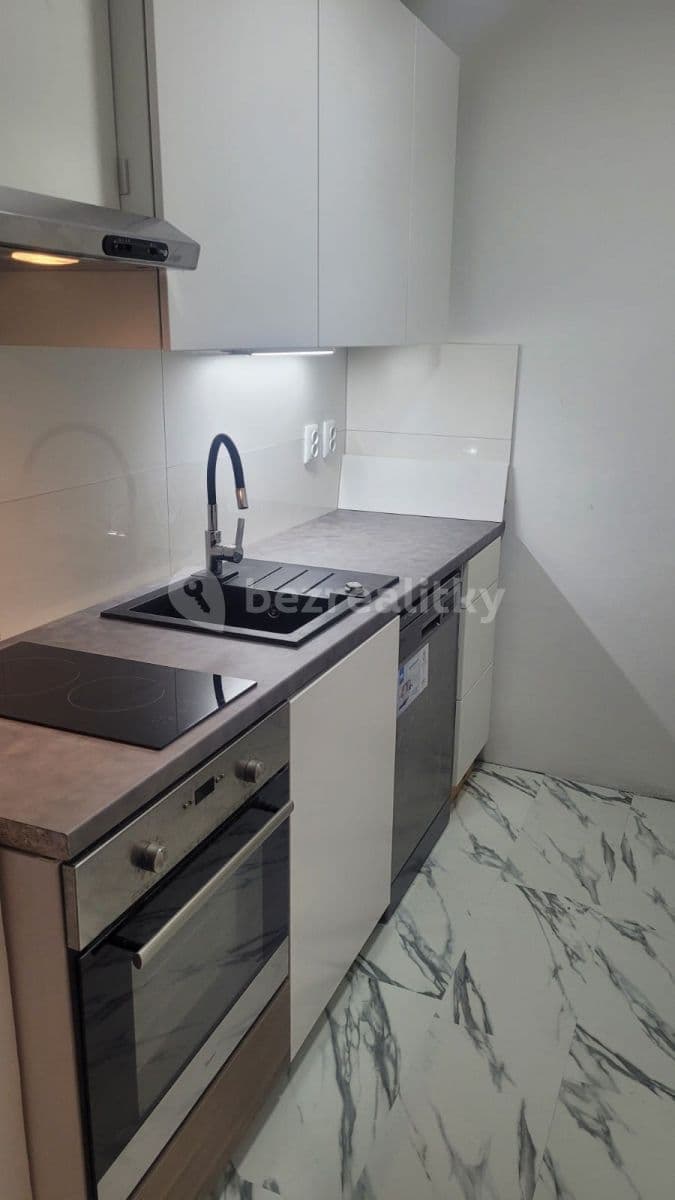 1 bedroom with open-plan kitchen flat to rent, 44 m², Láskova, Prague, Prague 1 bedroom with open-plan kitchen flat to rent, 44 m², Láskova, Prague, Prague