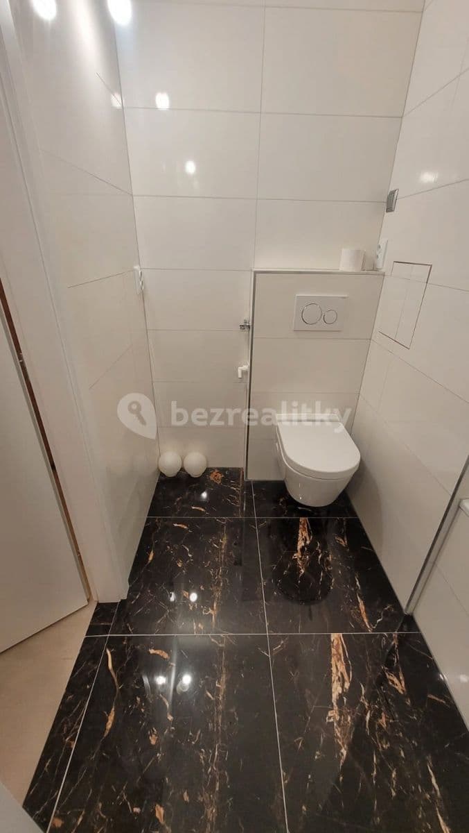 1 bedroom with open-plan kitchen flat to rent, 44 m², Láskova, Prague, Prague 1 bedroom with open-plan kitchen flat to rent, 44 m², Láskova, Prague, Prague