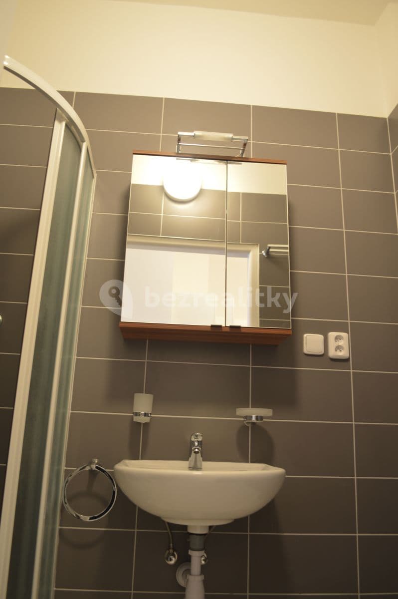 Studio flat to rent, 30 m², Přemyslovská, Prague, Prague Studio flat to rent, 30 m², Přemyslovská, Prague, Prague