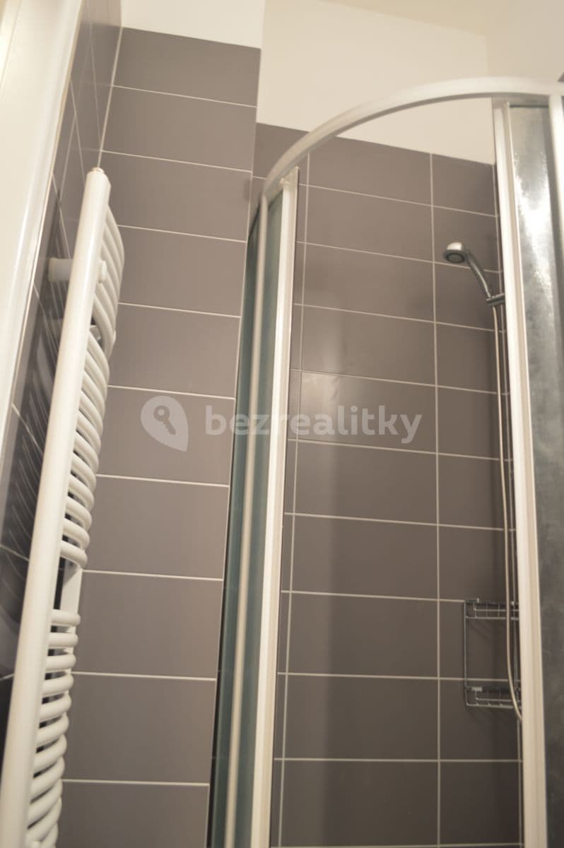 Studio flat to rent, 30 m², Přemyslovská, Prague, Prague Studio flat to rent, 30 m², Přemyslovská, Prague, Prague