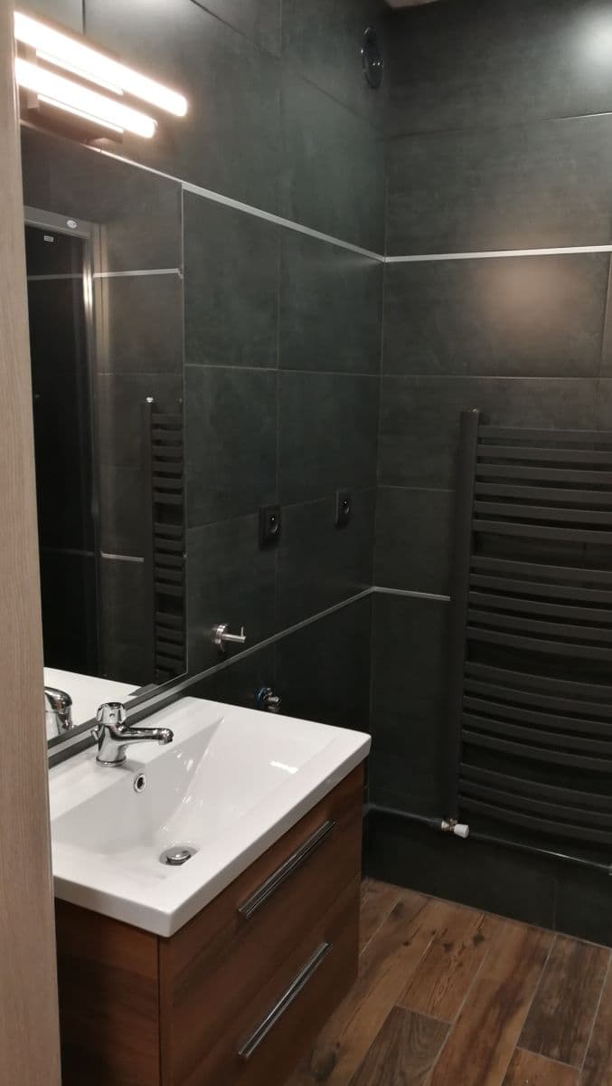 1 bedroom with open-plan kitchen flat to rent, 54 m², Chotěšovská, Prague, Prague 1 bedroom with open-plan kitchen flat to rent, 54 m², Chotěšovská, Prague, Prague