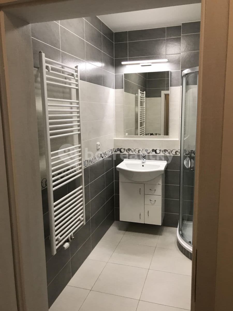 Studio flat to rent, 35 m², Cukrova, Prague, Prague Studio flat to rent, 35 m², Cukrova, Prague, Prague