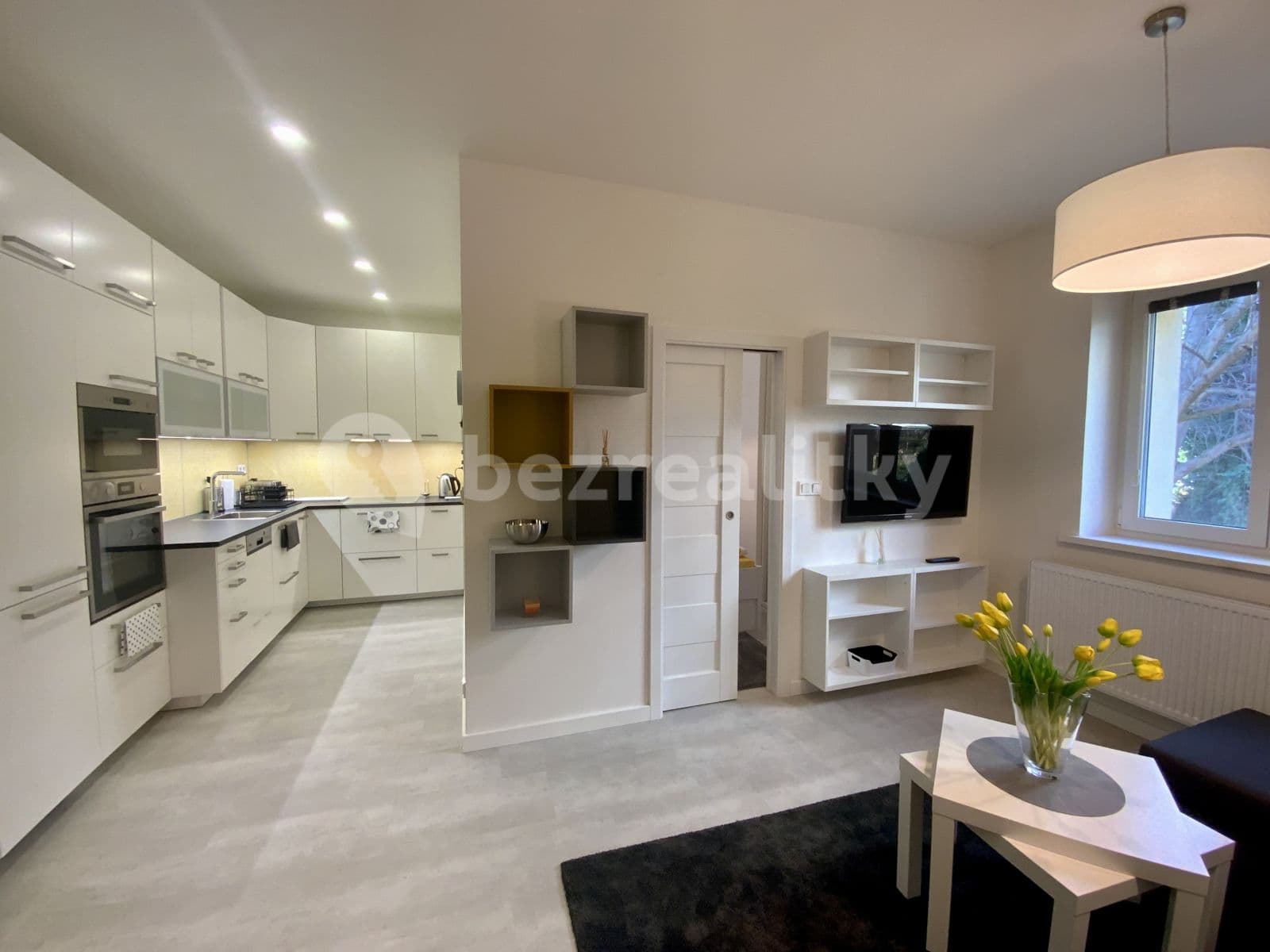 1 bedroom with open-plan kitchen flat to rent, 50 m², K Vodojemu, Prague, Prague 1 bedroom with open-plan kitchen flat to rent, 50 m², K Vodojemu, Prague, Prague
