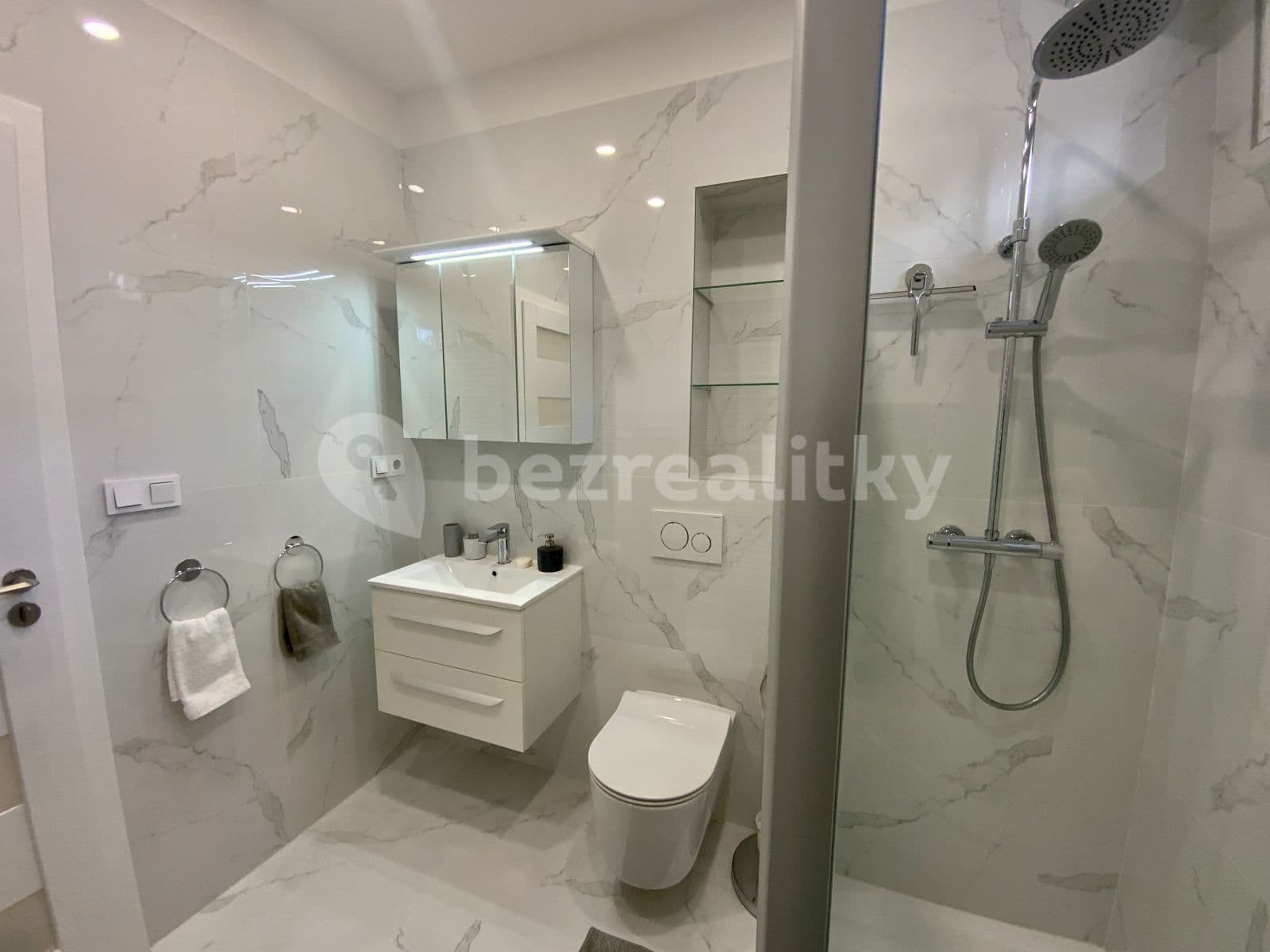 1 bedroom with open-plan kitchen flat to rent, 50 m², K Vodojemu, Prague, Prague 1 bedroom with open-plan kitchen flat to rent, 50 m², K Vodojemu, Prague, Prague
