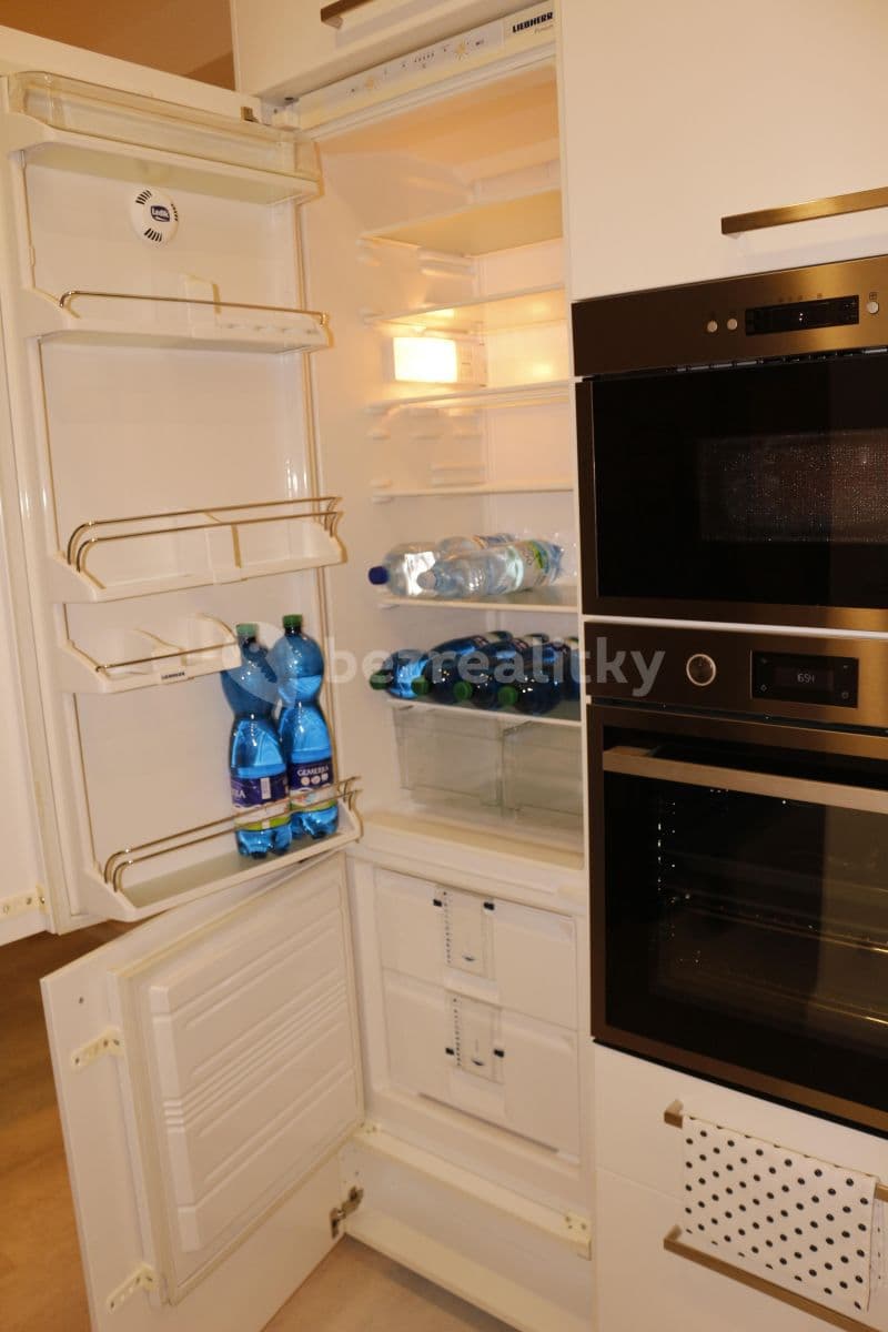 1 bedroom with open-plan kitchen flat to rent, 50 m², K Vodojemu, Prague, Prague 1 bedroom with open-plan kitchen flat to rent, 50 m², K Vodojemu, Prague, Prague
