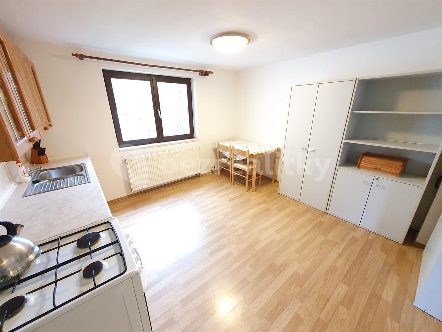 1 bedroom with open-plan kitchen flat to rent, 65 m², Riegrova, Rudná, Středočeský Region