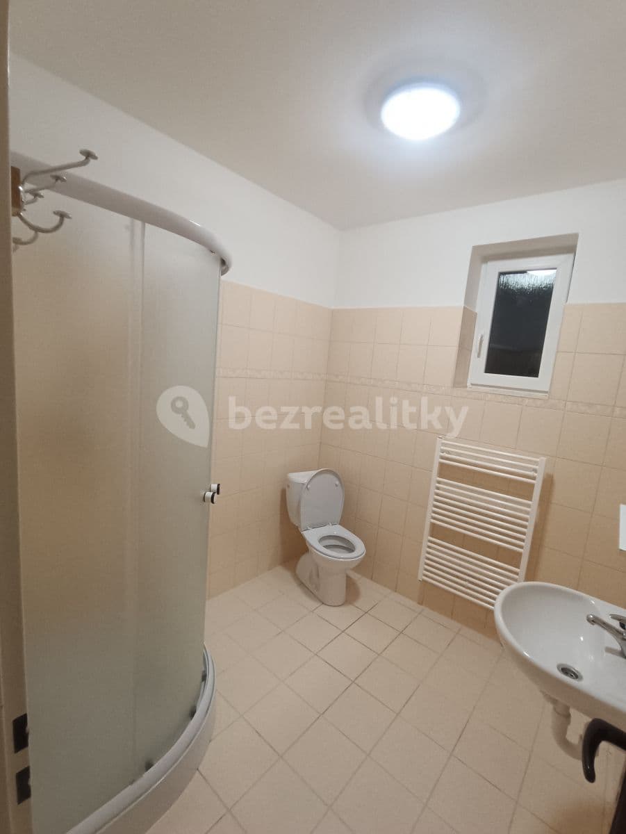 1 bedroom with open-plan kitchen flat to rent, 65 m², Révová, Plzeň, Plzeňský Region 1 bedroom with open-plan kitchen flat to rent, 65 m², Révová, Plzeň, Plzeňský Region
