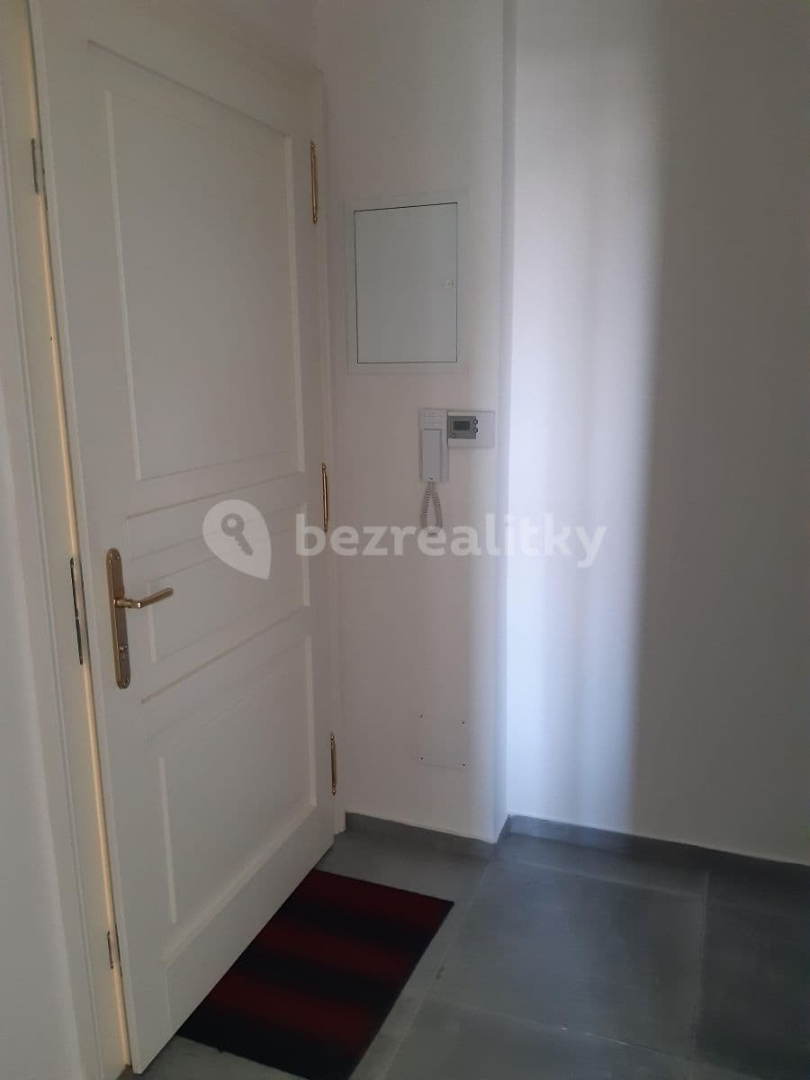 1 bedroom with open-plan kitchen flat to rent, 45 m², Lyčkovo náměstí, Prague, Prague 1 bedroom with open-plan kitchen flat to rent, 45 m², Lyčkovo náměstí, Prague, Prague