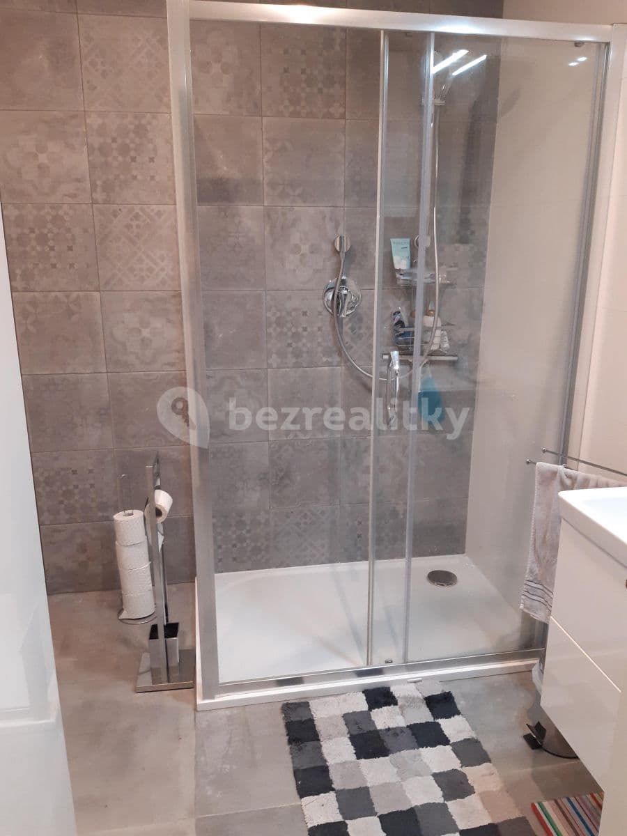 1 bedroom with open-plan kitchen flat to rent, 45 m², Lyčkovo náměstí, Prague, Prague 1 bedroom with open-plan kitchen flat to rent, 45 m², Lyčkovo náměstí, Prague, Prague