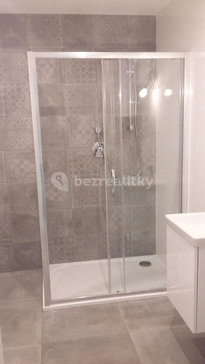 1 bedroom with open-plan kitchen flat to rent, 45 m², Lyčkovo náměstí, Prague, Prague 1 bedroom with open-plan kitchen flat to rent, 45 m², Lyčkovo náměstí, Prague, Prague