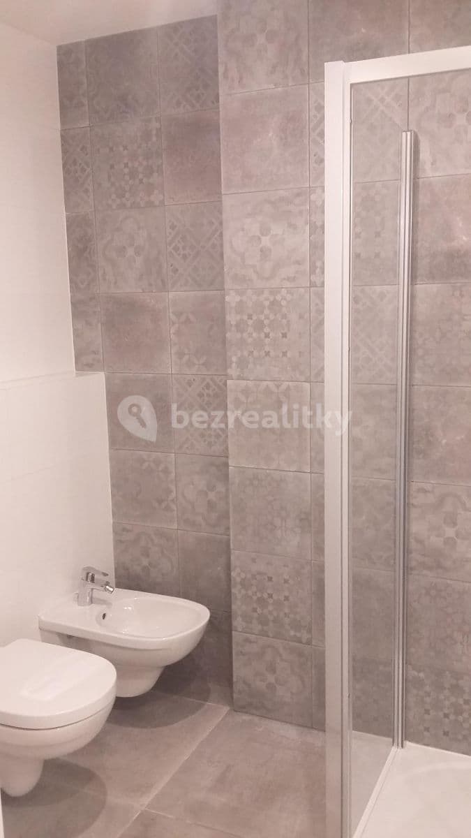 1 bedroom with open-plan kitchen flat to rent, 45 m², Lyčkovo náměstí, Prague, Prague 1 bedroom with open-plan kitchen flat to rent, 45 m², Lyčkovo náměstí, Prague, Prague